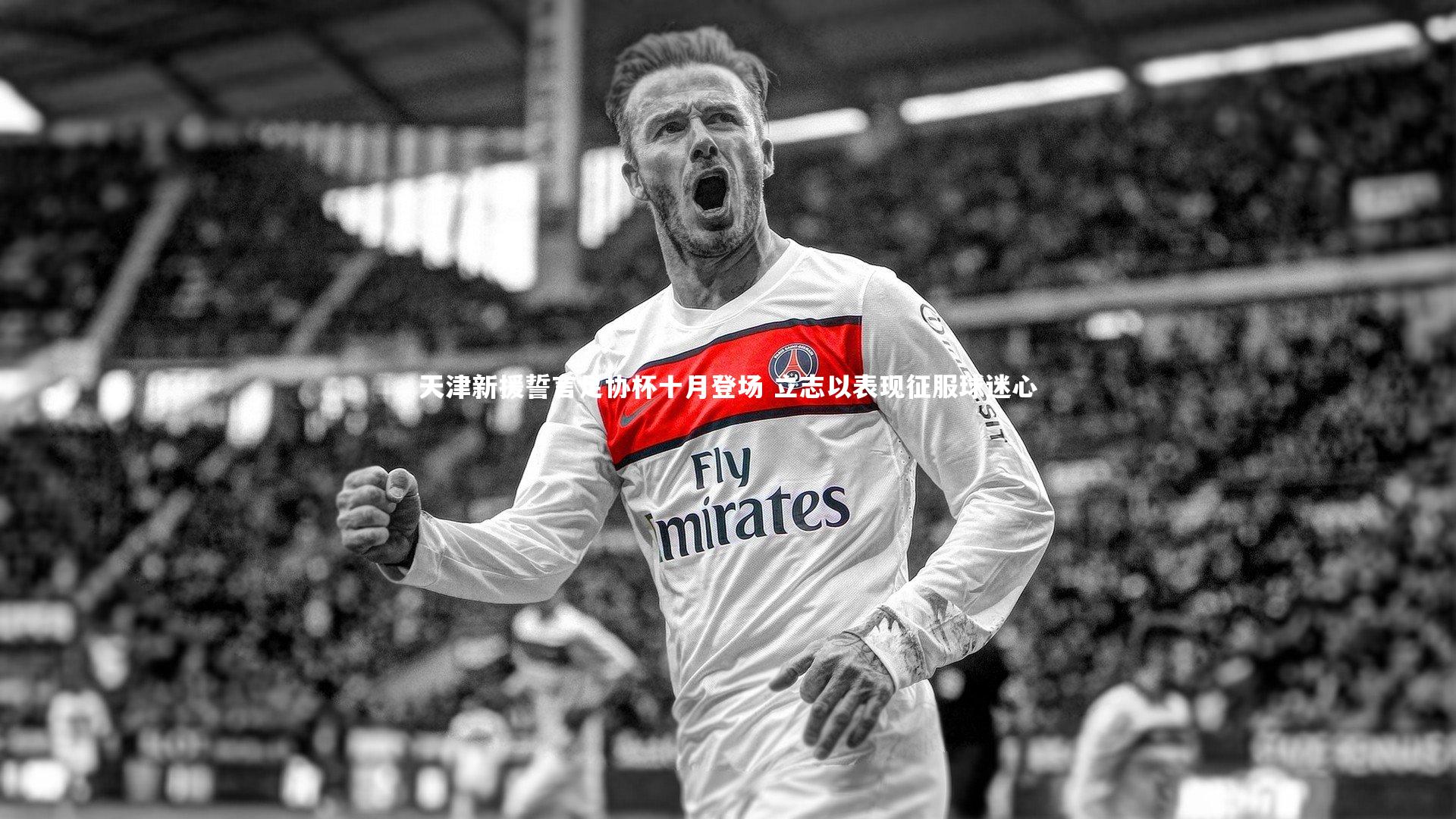 天津新援誓言足协杯十月登场 立志以表现征服球迷心